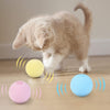 Interactive Cat Playing Ball