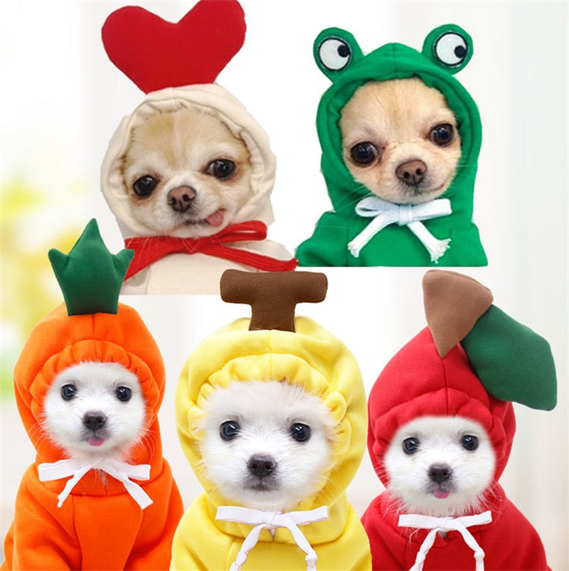 Cute Fruit Dog Hoodie