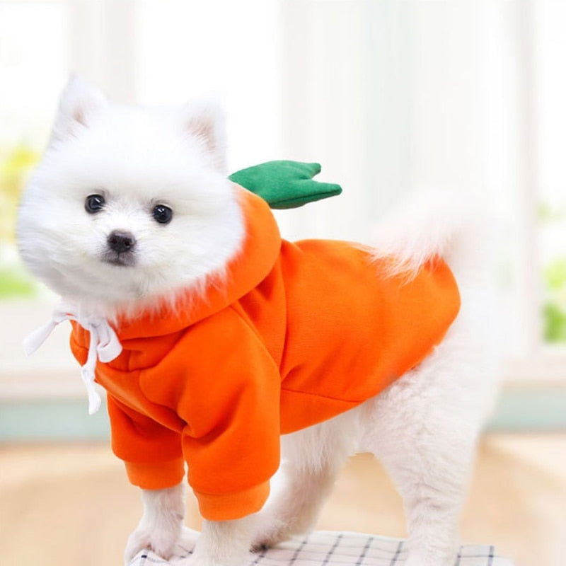 Cute Doggy Hoodie