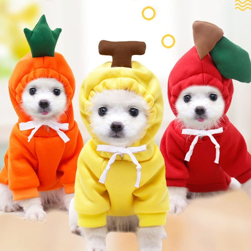 Cute Doggy Hoodie