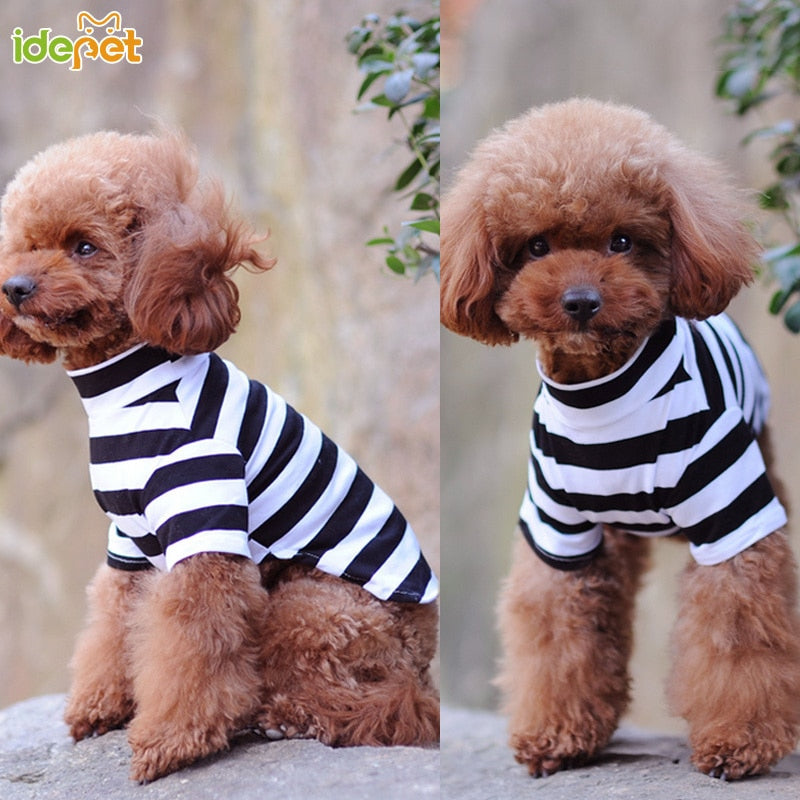 Dog Striped Outfit