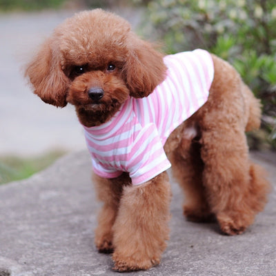 Small Dog Striped Outfit