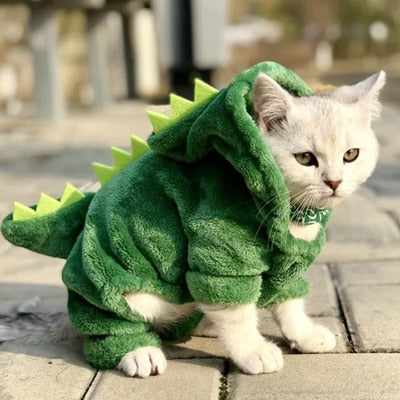 Dino Fleece for Pets