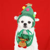 Christmas Outfit for Pets