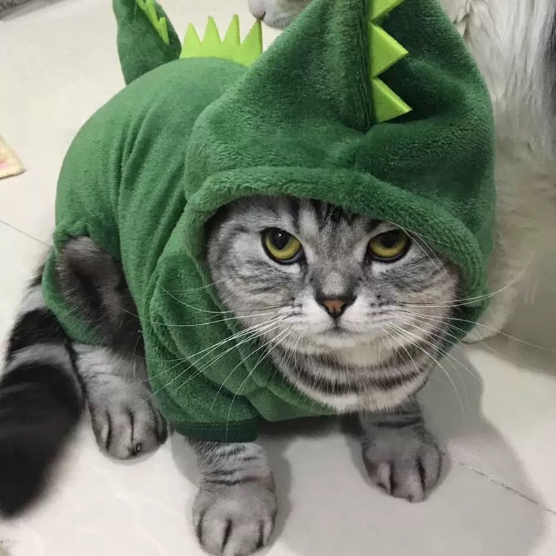 Dino Fleece for Pets