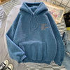 Fun Wool Hoodie