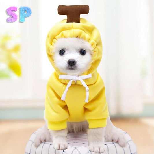 Cute Doggy Hoodie